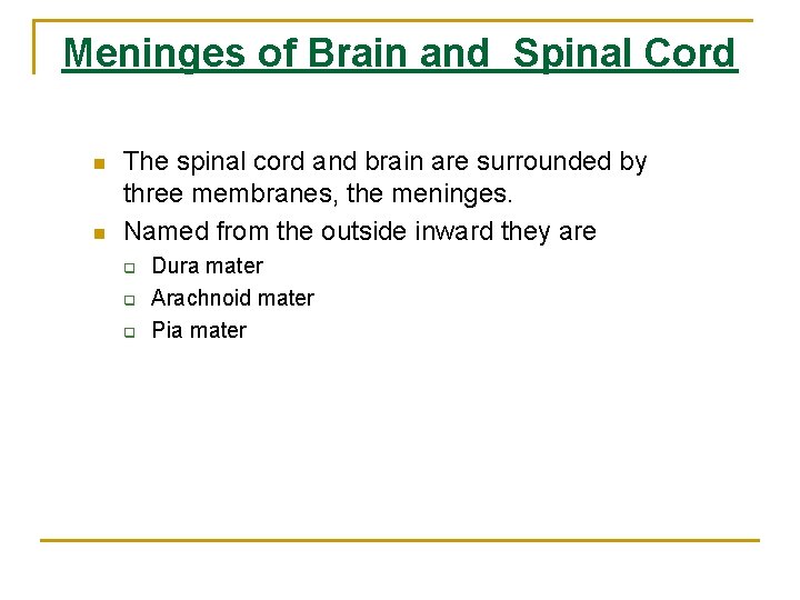 Meninges of Brain and Spinal Cord n n The spinal cord and brain are Meninges of Brain and Spinal Cord n n The spinal cord and brain are