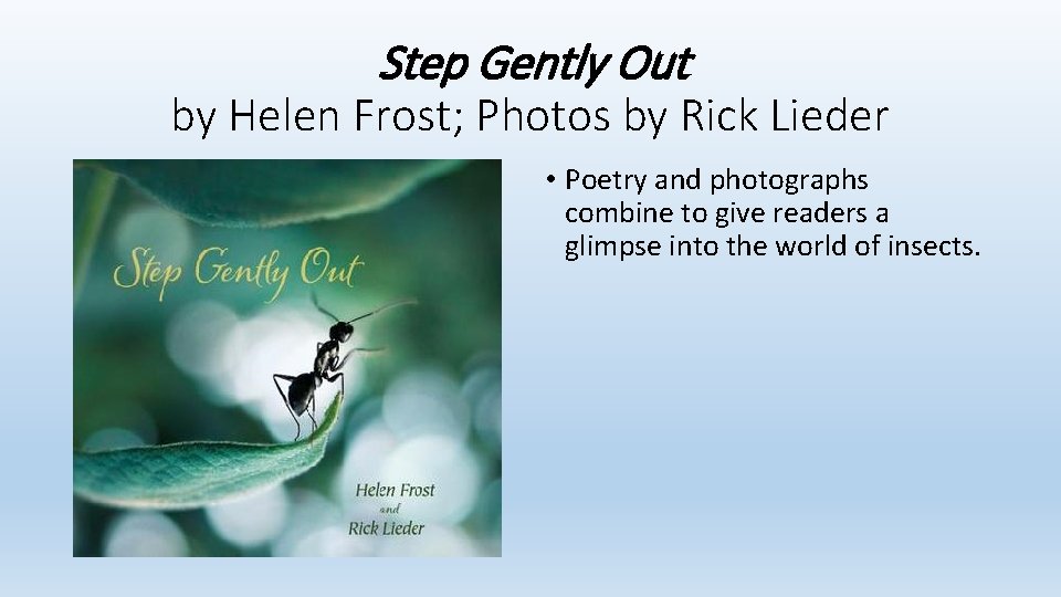 Step Gently Out by Helen Frost; Photos by Rick Lieder • Poetry and photographs