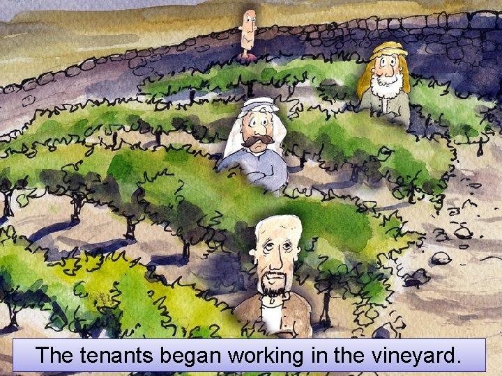 The tenants began working in the vineyard. 