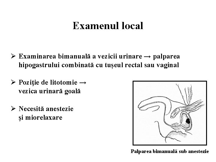 Examenul local Ø Examinarea bimanuală a vezicii urinare → palparea hipogastrului combinată cu tușeul