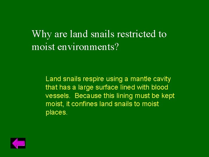 Why are land snails restricted to moist environments? Land snails respire using a mantle