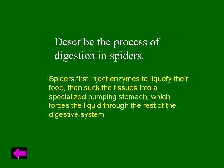 Describe the process of digestion in spiders. Spiders first inject enzymes to liquefy their