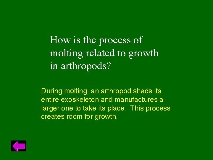 How is the process of molting related to growth in arthropods? During molting, an