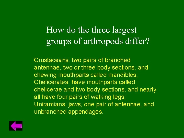 How do the three largest groups of arthropods differ? Crustaceans: two pairs of branched