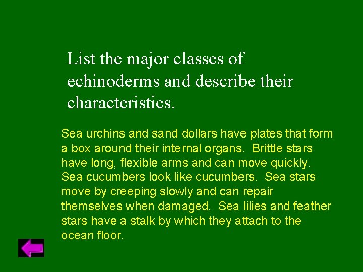 List the major classes of echinoderms and describe their characteristics. Sea urchins and sand