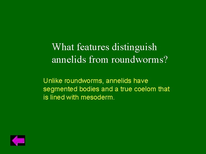 What features distinguish annelids from roundworms? Unlike roundworms, annelids have segmented bodies and a