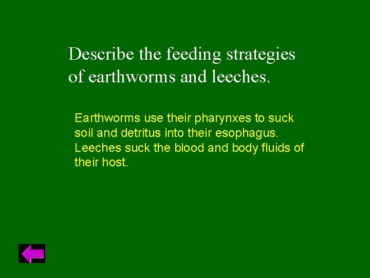 Describe the feeding strategies of earthworms and leeches. Earthworms use their pharynxes to suck