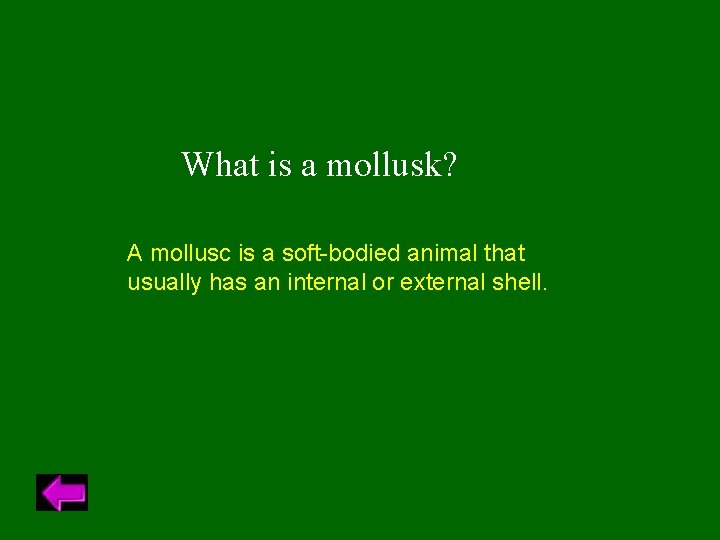 What is a mollusk? A mollusc is a soft-bodied animal that usually has an