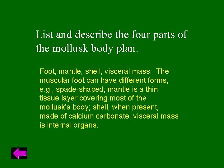 List and describe the four parts of the mollusk body plan. Foot, mantle, shell,