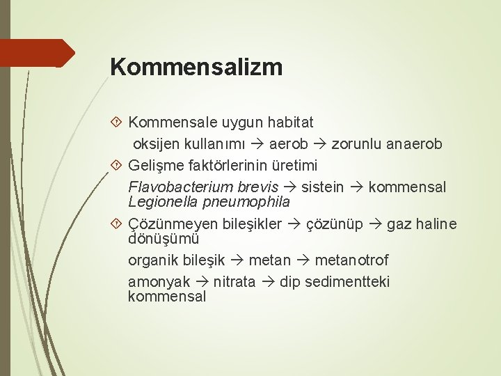 Kommensalizm Kommensale uygun habitat oksijen kullanımı aerob zorunlu anaerob Gelişme faktörlerinin üretimi Flavobacterium brevis