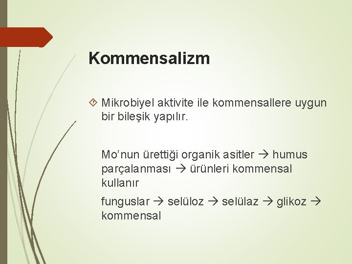 Kommensalizm Mikrobiyel aktivite ile kommensallere uygun bir bileşik yapılır. Mo’nun ürettiği organik asitler humus