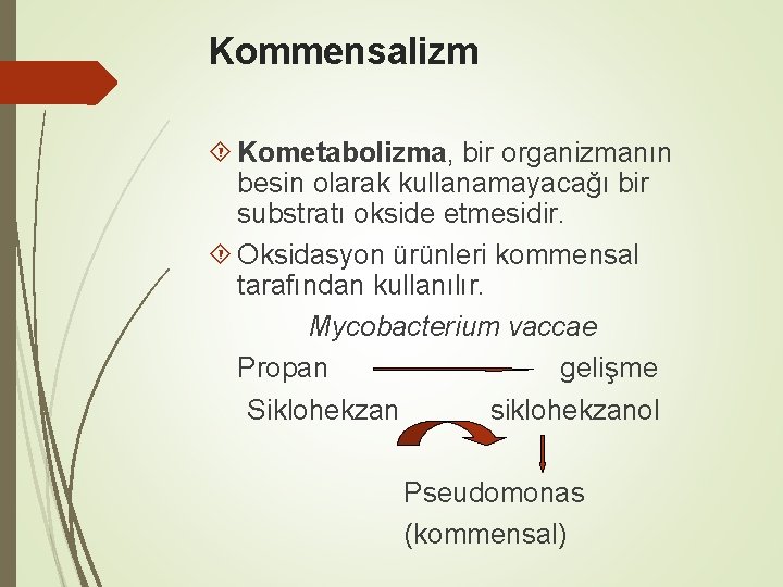 Kommensalizm Kometabolizma, bir organizmanın besin olarak kullanamayacağı bir substratı okside etmesidir. Oksidasyon ürünleri kommensal