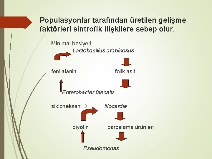 Populasyonlar tarafından üretilen gelişme faktörleri sintrofik ilişkilere sebep olur. Minimal besiyeri Lactobacillus arabinosus fenilalanin