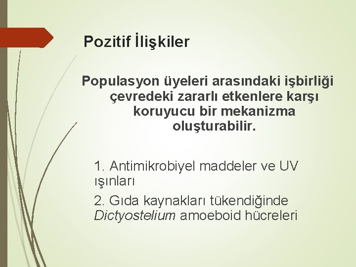 Pozitif İlişkiler Populasyon üyeleri arasındaki işbirliği çevredeki zararlı etkenlere karşı koruyucu bir mekanizma oluşturabilir.