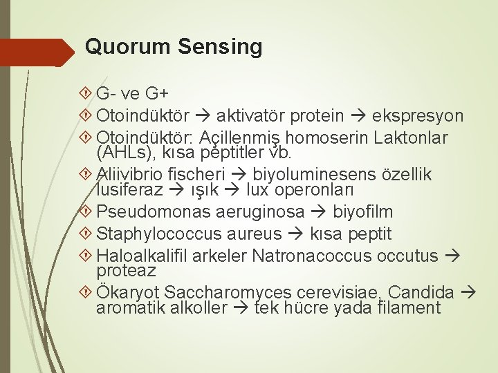Quorum Sensing G- ve G+ Otoindüktör aktivatör protein ekspresyon Otoindüktör: Açillenmiş homoserin Laktonlar (AHLs),