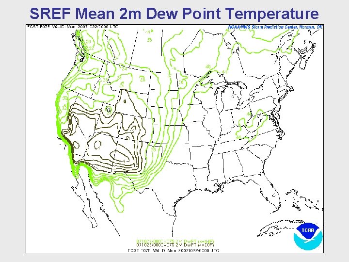 SREF Mean 2 m Dew Point Temperature 