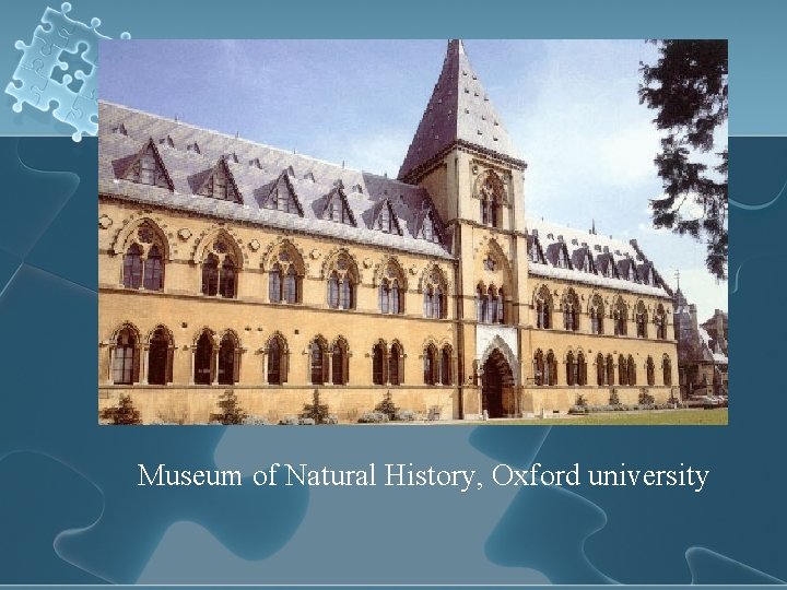 Museum of Natural History, Oxford university 