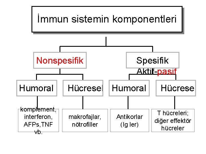 İmmun sistemin komponentleri Nonspesifik Spesifik Aktif-pasif Humoral Hücresel Humoral komplement, interferon, AFPs, TNF vb.