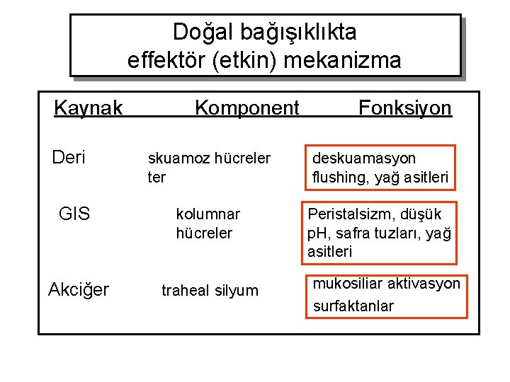 Doğal bağışıklıkta effektör (etkin) mekanizma Kaynak Deri Komponent Fonksiyon skuamoz hücreler ter deskuamasyon flushing,