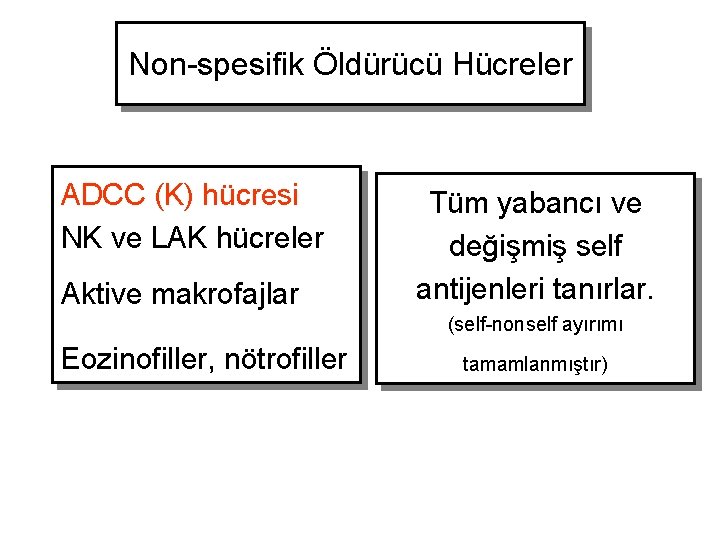 Non-spesifik Öldürücü Hücreler ADCC (K) hücresi NK ve LAK hücreler Aktive makrofajlar Tüm yabancı