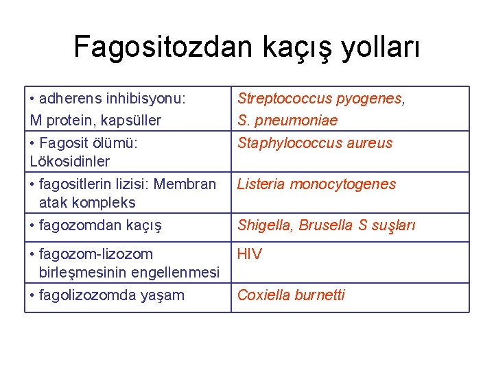 Fagositozdan kaçış yolları • adherens inhibisyonu: M protein, kapsüller Streptococcus pyogenes, S. pneumoniae •