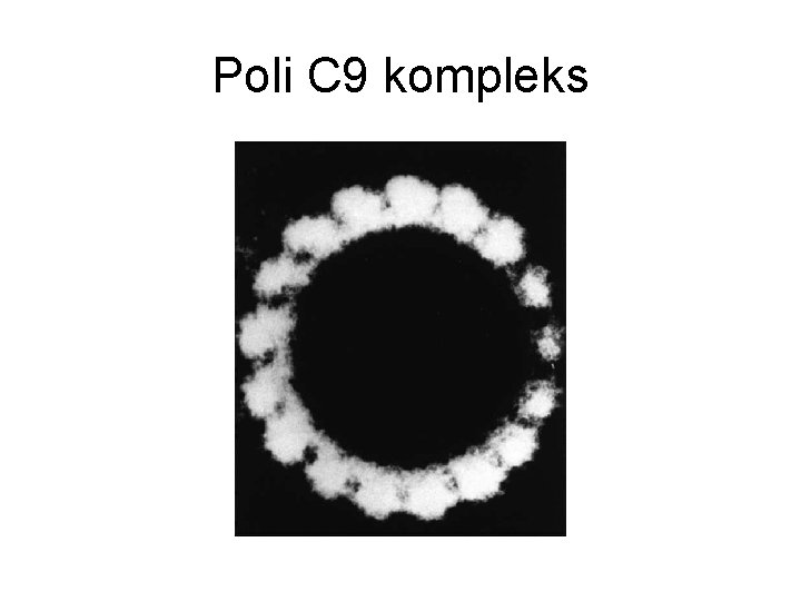 Poli C 9 kompleks 