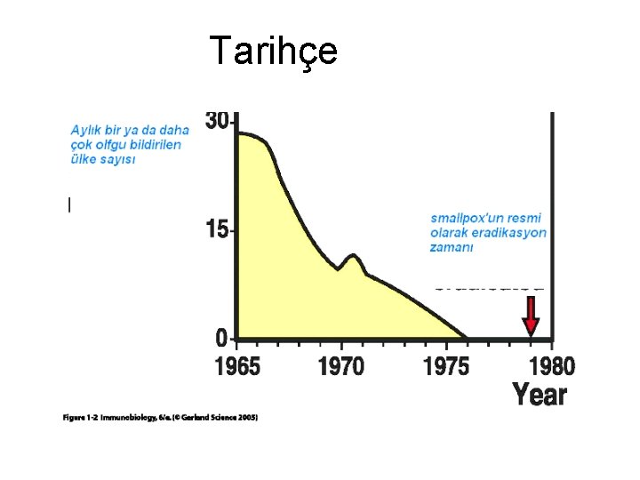 Tarihçe 