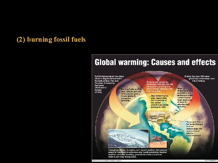 (2) burning fossil fuels 