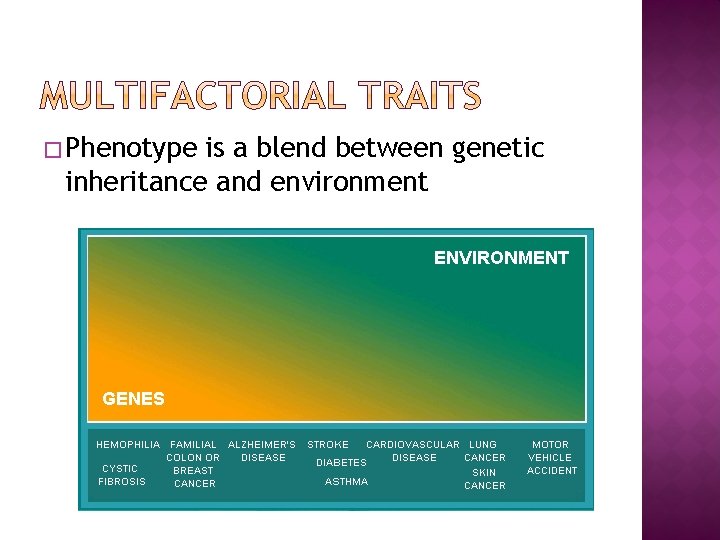 � Phenotype is a blend between genetic inheritance and environment 