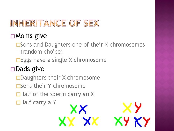 � Moms give �Sons and Daughters one of their X chromosomes (random choice) �Eggs