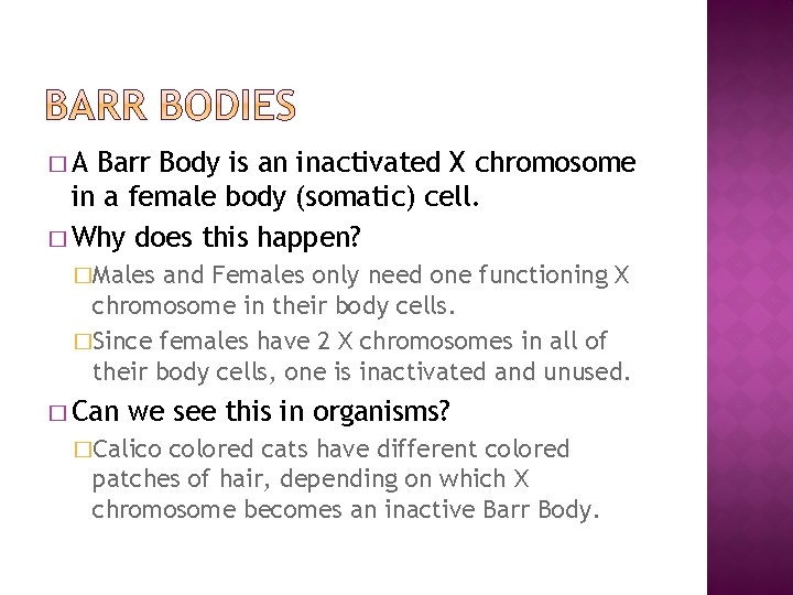 �A Barr Body is an inactivated X chromosome in a female body (somatic) cell.