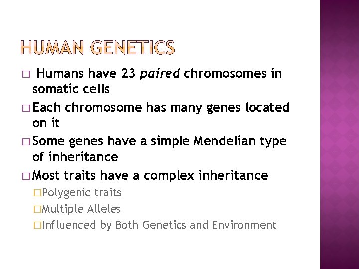 Humans have 23 paired chromosomes in somatic cells � Each chromosome has many genes