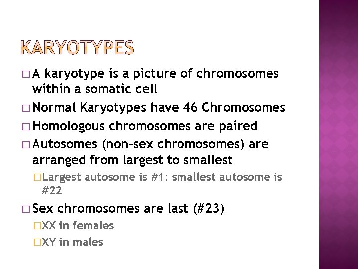 �A karyotype is a picture of chromosomes within a somatic cell � Normal Karyotypes