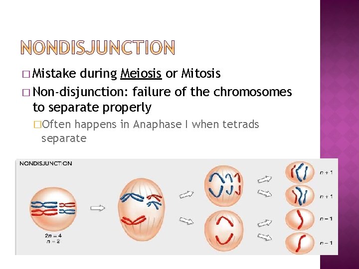 � Mistake during Meiosis or Mitosis � Non-disjunction: failure of the chromosomes to separate