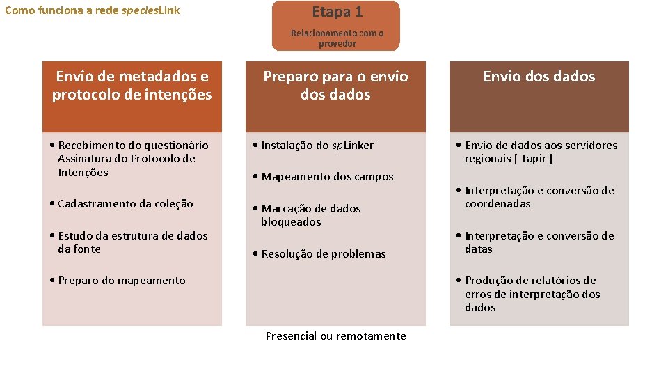 Como funciona a rede species. Link Etapa 1 Relacionamento com o provedor Envio de