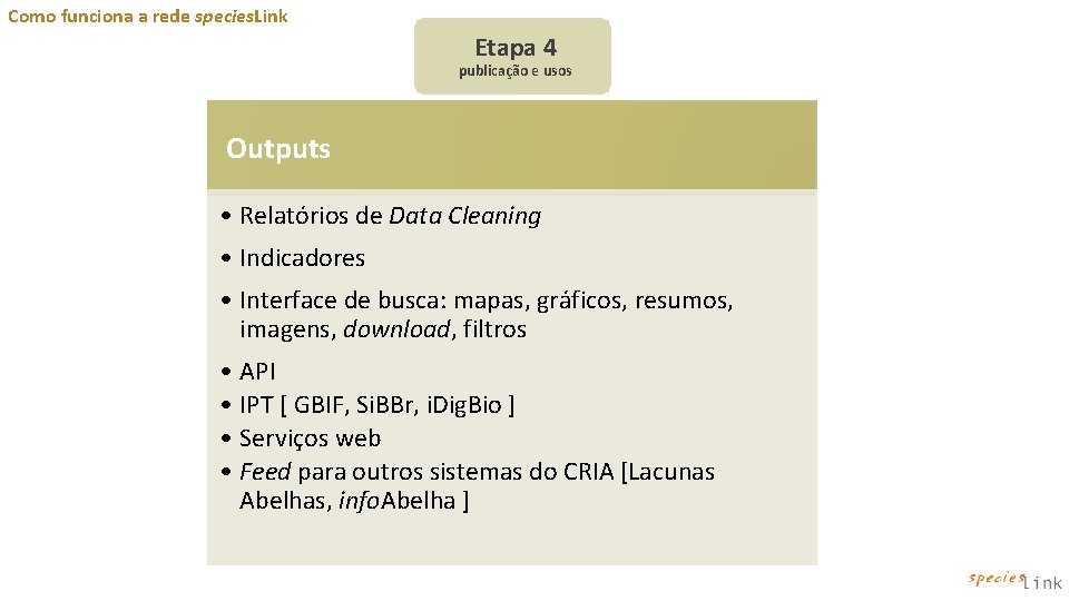 Como funciona a rede species. Link Etapa 4 publicação e usos Outputs • Relatórios