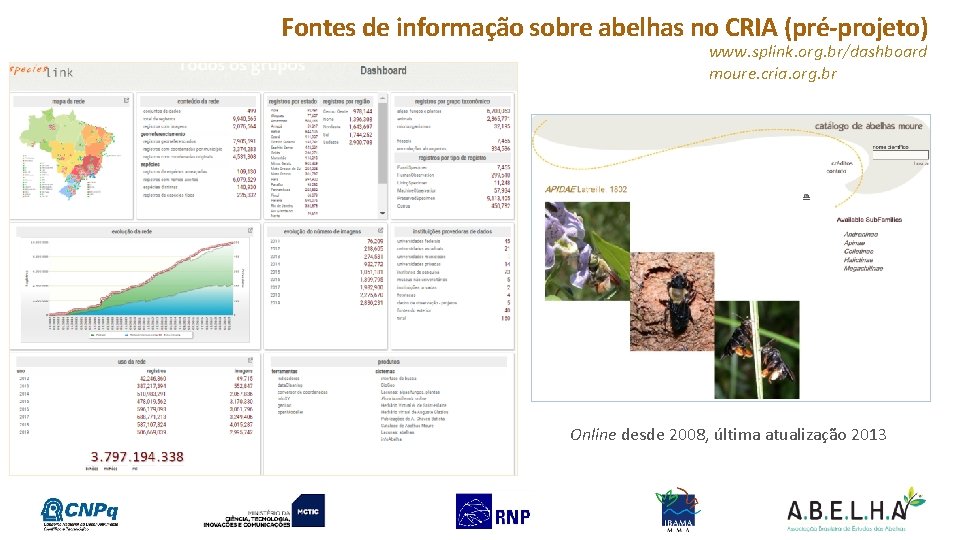 Fontes de informação sobre abelhas no CRIA (pré-projeto) www. splink. org. br/dashboard moure. cria.