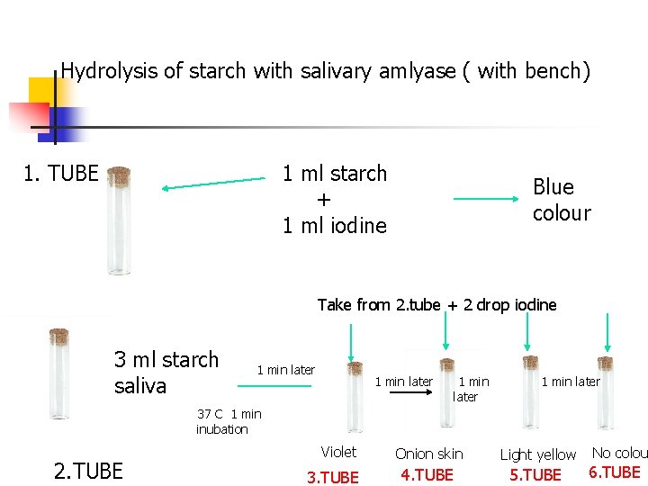 Hydrolysis of starch with salivary amlyase ( with bench) 1. TUBE 1 ml starch