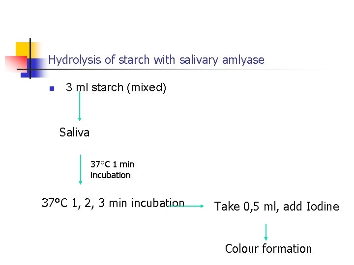 Hydrolysis of starch with salivary amlyase n 3 ml starch (mixed) Saliva 37°C 1