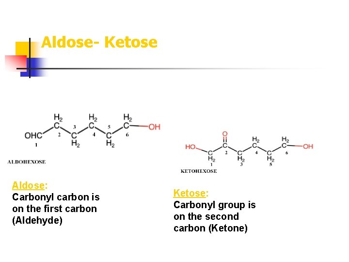 Aldose- Ketose Aldose: Carbonyl carbon is on the first carbon (Aldehyde) Ketose: Carbonyl group