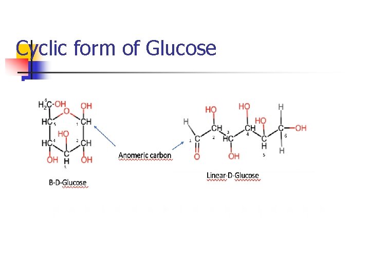 Cyclic form of Glucose 