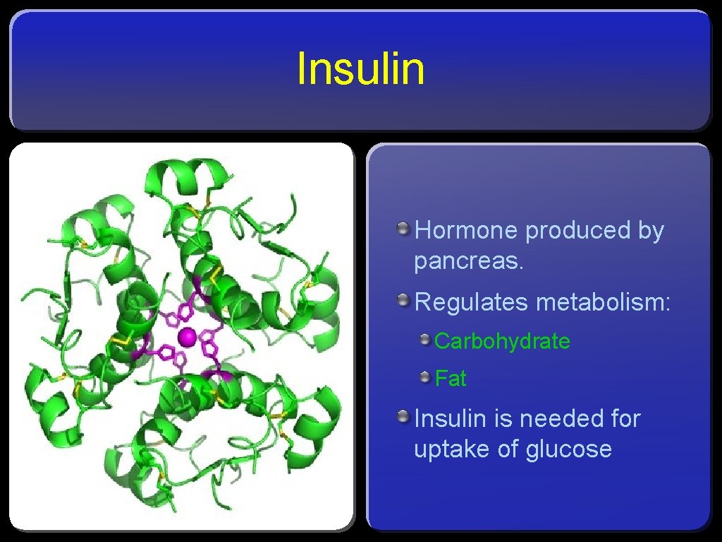 Insulin Hormone produced by pancreas. Regulates metabolism: Carbohydrate Fat Insulin is needed for uptake