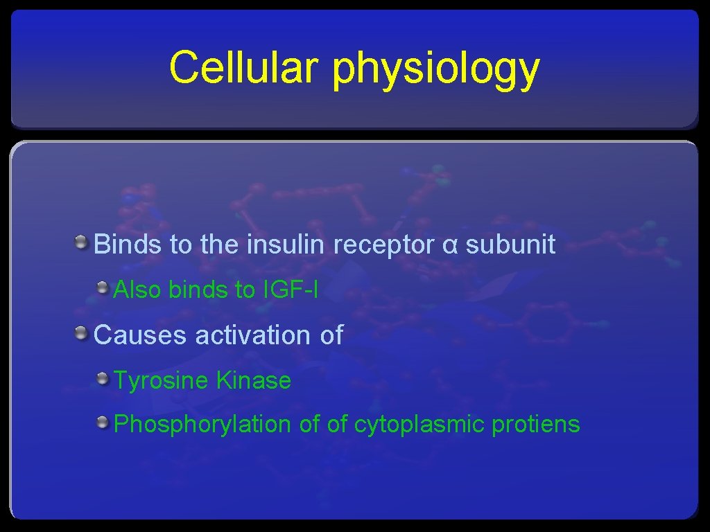 Cellular physiology Binds to the insulin receptor α subunit Also binds to IGF-I Causes