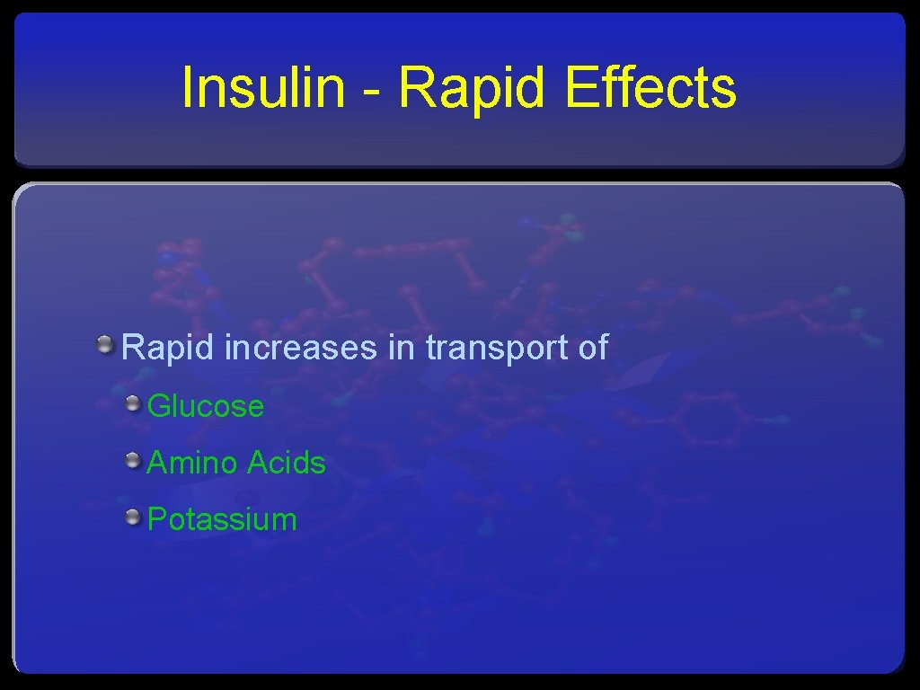 Insulin - Rapid Effects Rapid increases in transport of Glucose Amino Acids Potassium 