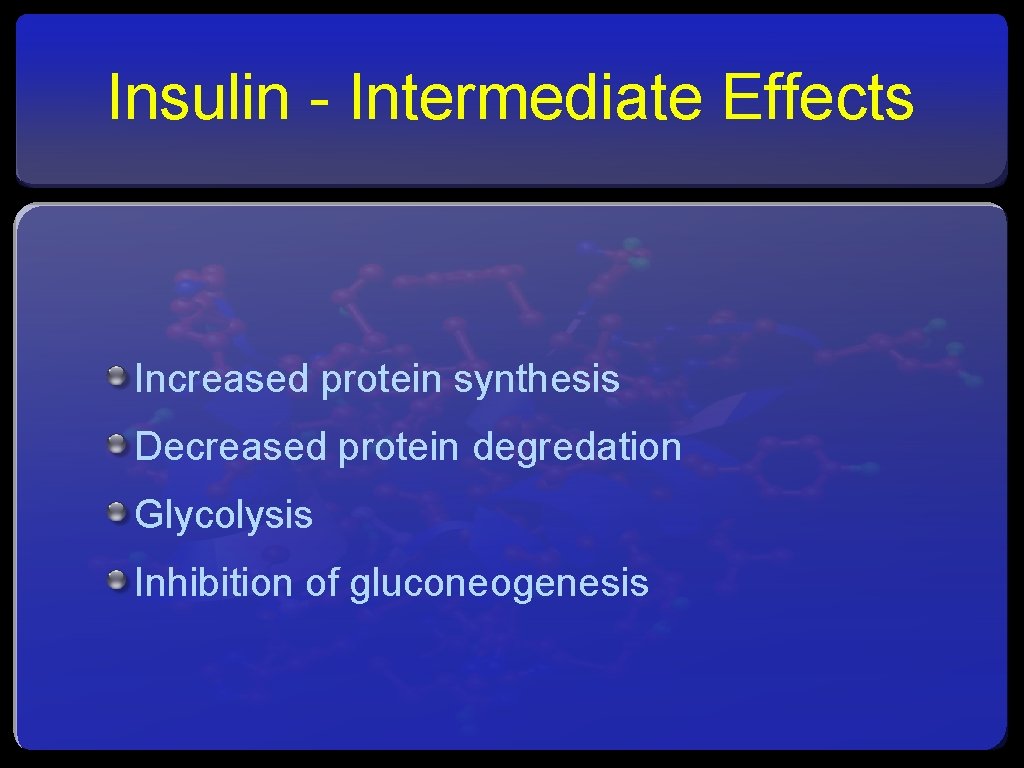 Insulin - Intermediate Effects Increased protein synthesis Decreased protein degredation Glycolysis Inhibition of gluconeogenesis