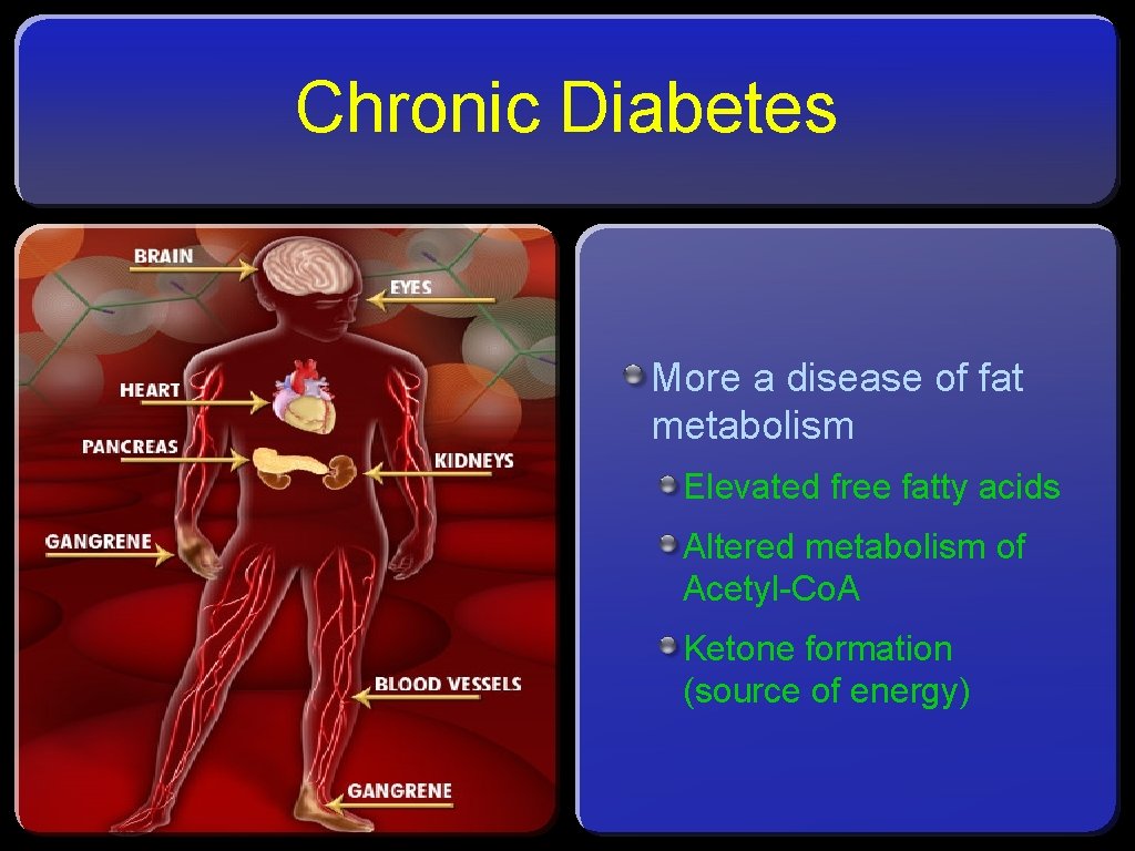 Chronic Diabetes More a disease of fat metabolism Elevated free fatty acids Altered metabolism