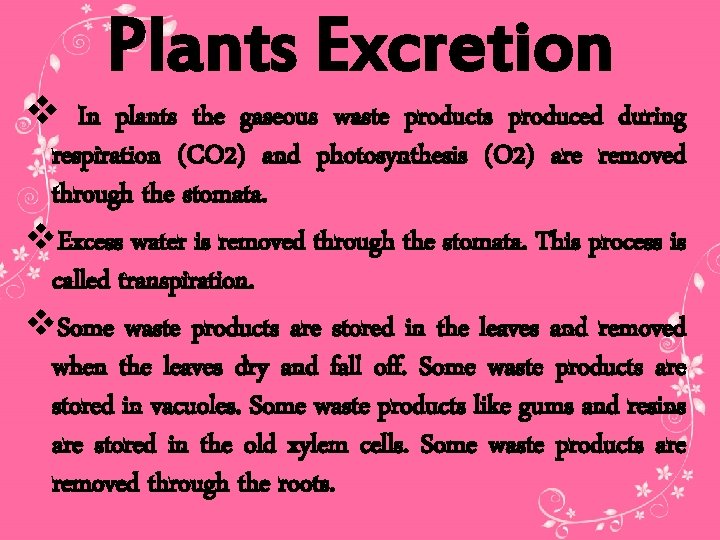 Plants Excretion v In plants the gaseous waste products produced during respiration (CO 2)