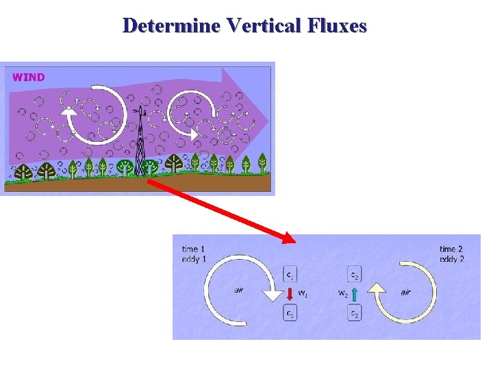 Determine Vertical Fluxes 