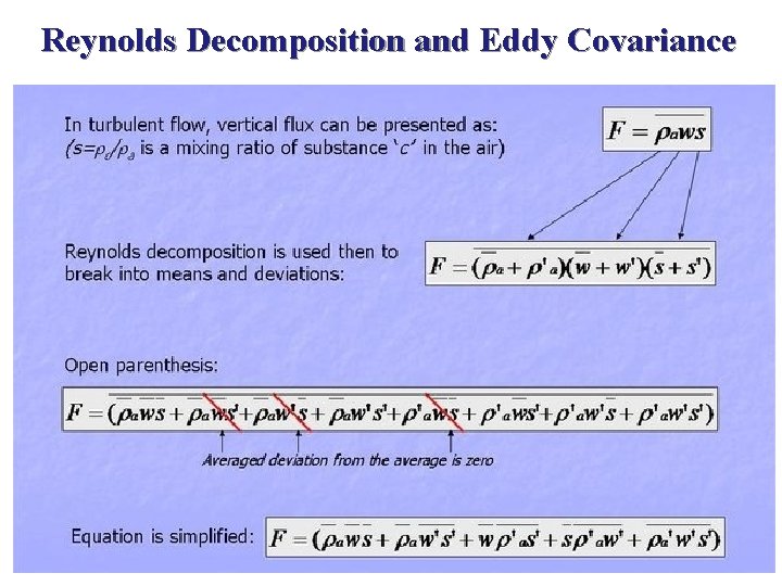 Reynolds Decomposition and Eddy Covariance 