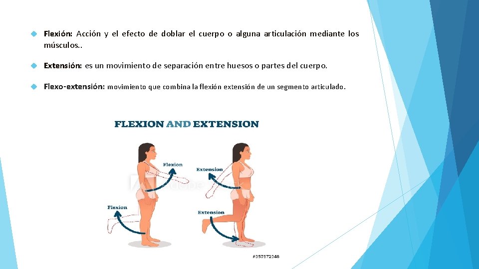  Flexión: Acción y el efecto de doblar el cuerpo o alguna articulación mediante